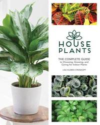 best fertilizer for palm plants BGI Palmgain Palm Fertilizer main image 0