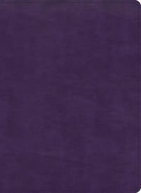 cover of Holy Bible: KJV Study Bible, Full-color, Plum Leathertouch