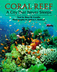 Coral Reef: A City that Never Sleeps