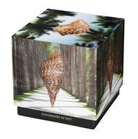 Visionaire No. 62 Rio, Campana Brothers Case