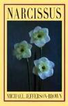 NARCISSUS.