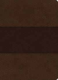 cover of Holy Bible: King James Version, Study Bible, Full-color, Saddle Brown, Leathertouch