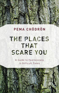 image of The Places That Scare You: A Guide to Fearlessness in Difficult Times