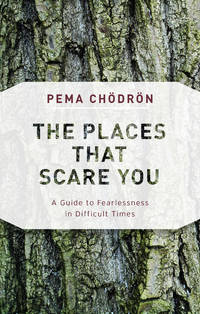 PLACES THAT SCARE YOU: A Guide To Fearlessness In Difficult Times (new Edition) - 