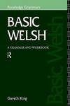 Basic Welsh: A Grammar and Workbook (Grammar Workbooks) (Volume 0)