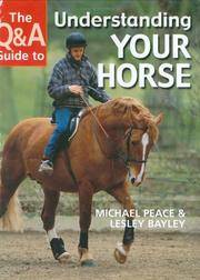 The QA Guide To Understanding Your Horse