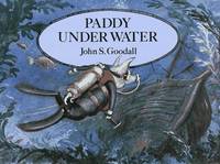 image of PADDY UNDER WATER