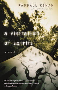 cover of A Visitation of Spirits: A Novel