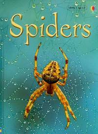 Spiders, Level 1: Internet Referenced (Beginners Nature - New Format)