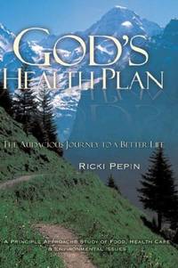 GOD'S HEALTH PLAN - THE AUDACIOUS JOURNEY TO A BETTER LIFE