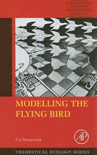 Modelling the Flying Bird.