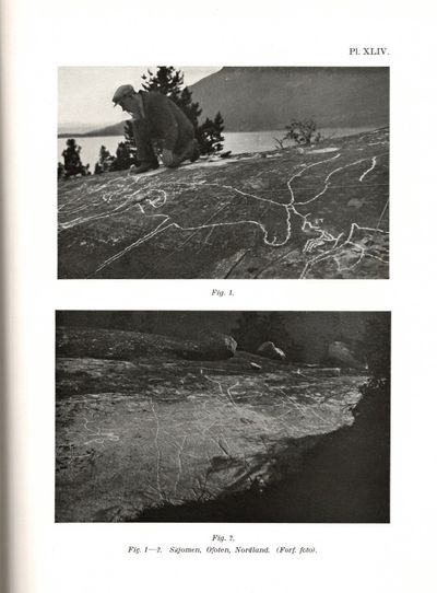 Arktiske helleristninger i Nord-Norge. (photo 3)