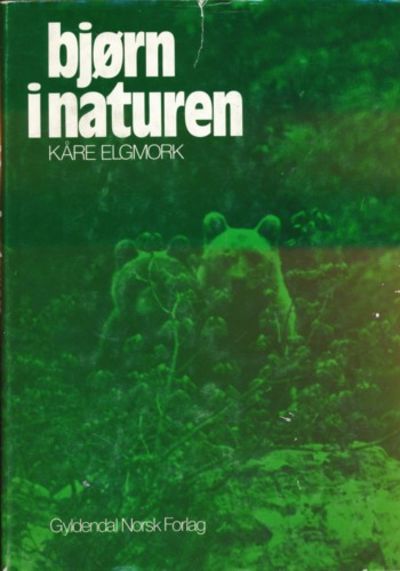 Bjørn i naturen