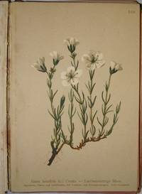 Atlas der Alpenflora. Herausgegeben vom Deutschen und Osterreichischen Alpenverein. Band II (Tafel 101-200) by Anton Hartinger - Hardcover - 1897 - from Louis Caron (SKU: 003104)