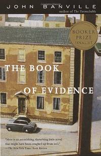 cover of The Book of Evidence (Vintage International)