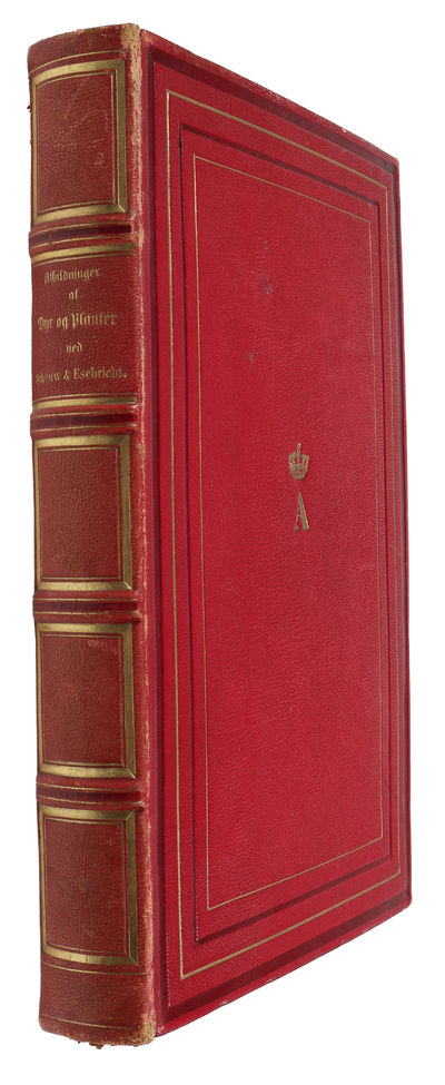 Afbildninger af Dyr og Planter efter Dictionnaire des Sciences naturelles. (photo 2)