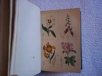 image of The Young Lady's Book of Botany; Being a Popular Introduction to That Delightful Science. With Twelve Coloured Plates, and Numerous Other Illustrations.