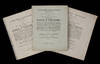 THIRTY NEW BRAZILIAN PLANTS<br>DESCRIBED BY LINNAEUS' FOREMOST DISCIPLE<br>Plantarum brasiliensium. Decas Prima / Secunda / Tertia.