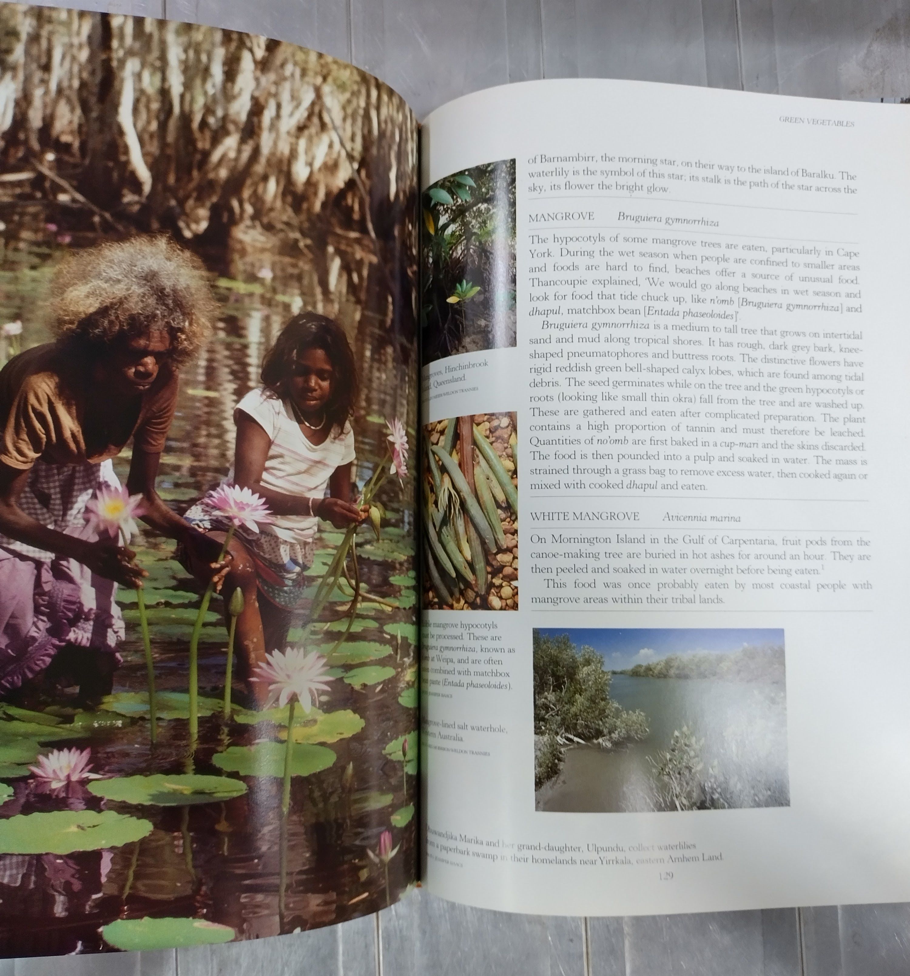 Bush Food: Aboriginal Food and Herbal Medicine by Jennifer Isaacs
