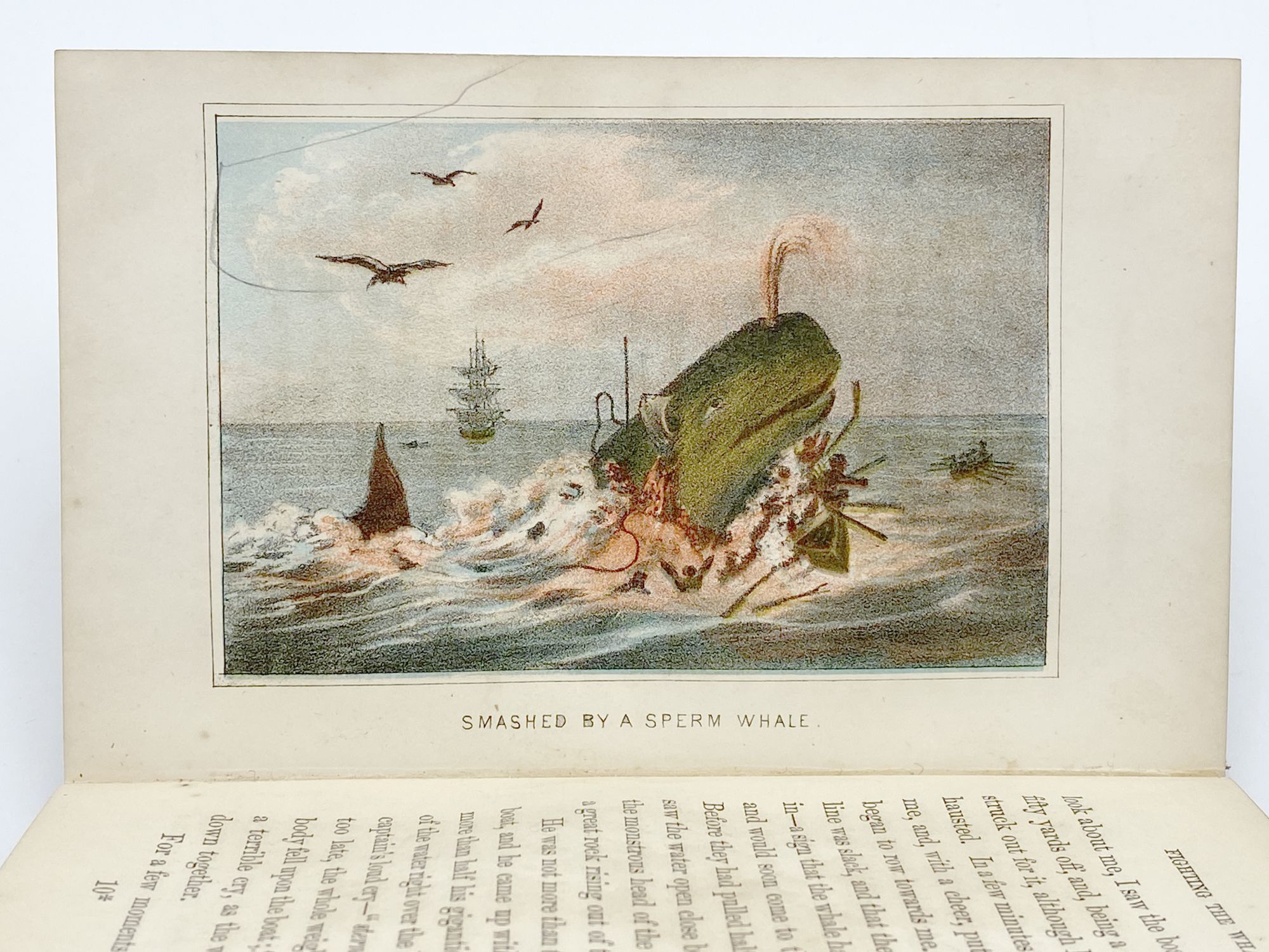 Fighting the Whales: Or, Doings and Dangers of a F
