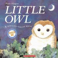Little Owl