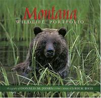 Montana Wildlife Portfolio