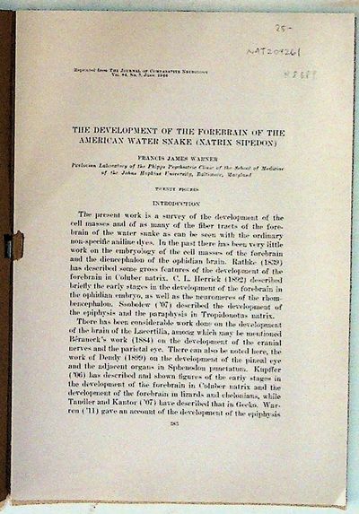 The Development of the Forebrain of the American Water Snake (Natrix Sipedon)