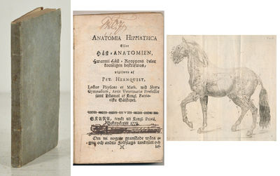 Anatomia hippiatrica eller häst-anatomien,…
