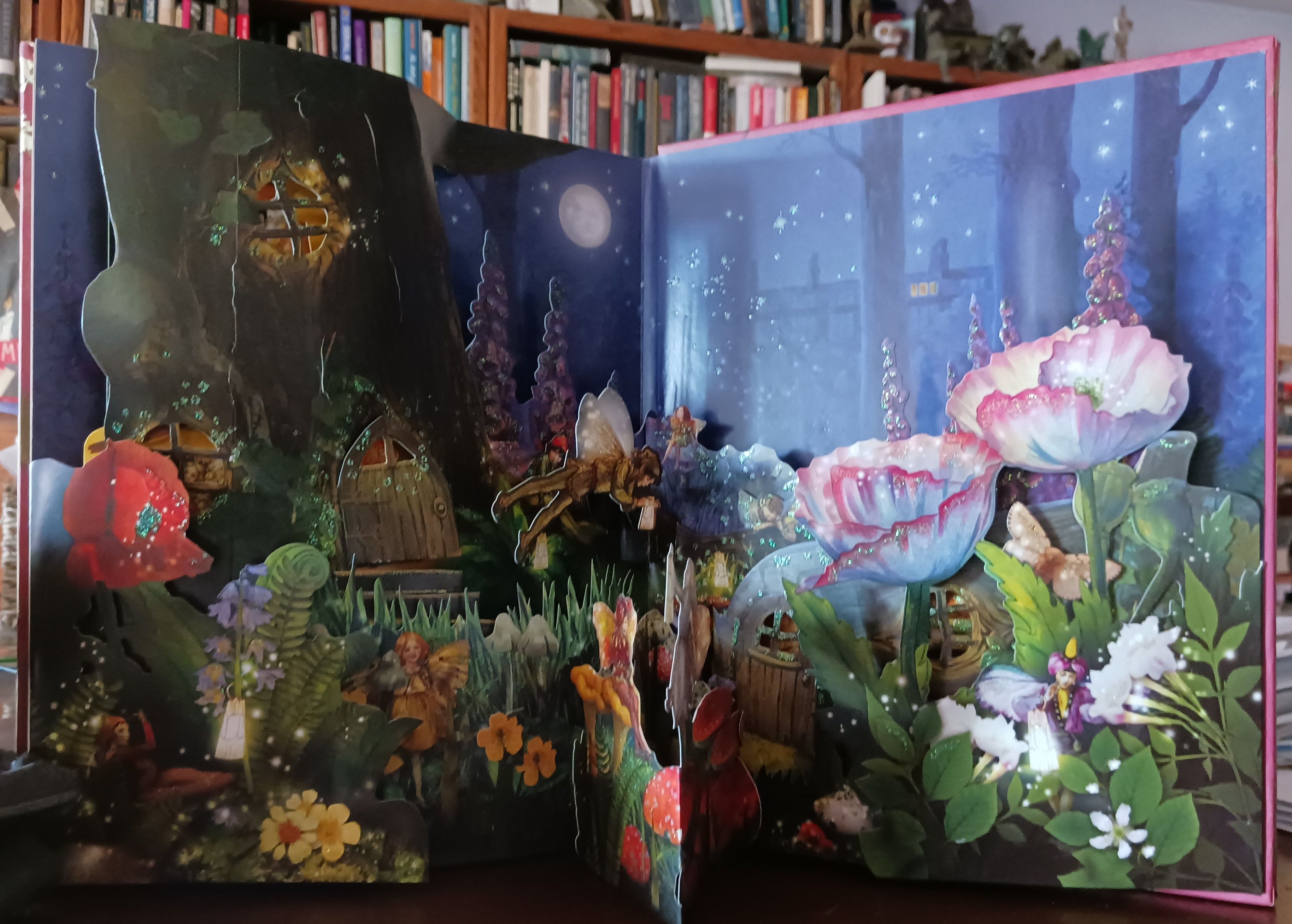 Return to Fairyopolis by Barker, Cicely Mary | Hardback | 2008