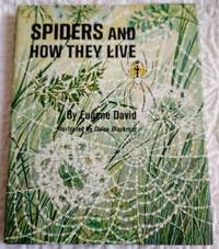 cover of SPIDERS AND HOW THEY LIVE a Junior Research Book