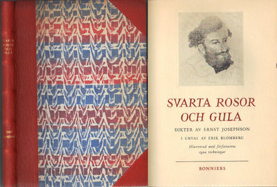 SVARTA ROSOR OCH GULA.
