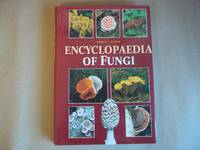 Encyclopedia of Fungi by Keizer, Gerrit J - 1997