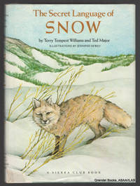 Secret Language of Snow.