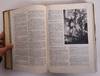 View Image 4 of 8 for Pareys Blumengärtnerei; Beschreibung, Kultur und Verwendung der Gesamten Gärtnerischen Schmuckpfla... Inventory #173677