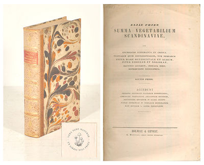 Summa vegetabilium Scandinaviae, seu enumeratio…