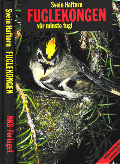 Fuglekongen, vår minste fugl.