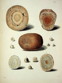 A Descriptive and Illustrated Catalogue of the Calculi and other Animal Concretions contained in the Museum of The Royal College of Surgeons in London (Parts 1 & 2)