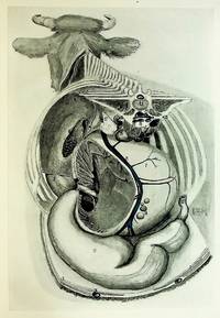 Atlas of the Viscera, In Situ, of the Dairy Cow