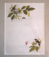 image of ( Original Print ) Hummingbird
