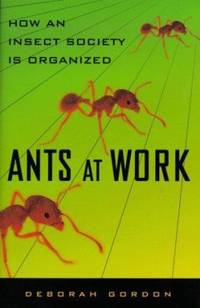 image of Ants at Work : How an Insect Society Is Organized