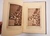 View Image 6 of 8 for Los Caprichos. La Tauromaquia. Los Desastres de la Guerra. Los Proverbios. De Don Francisco Goya, De... Inventory #181859