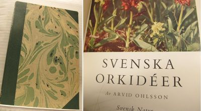 Svenska orkidéer.