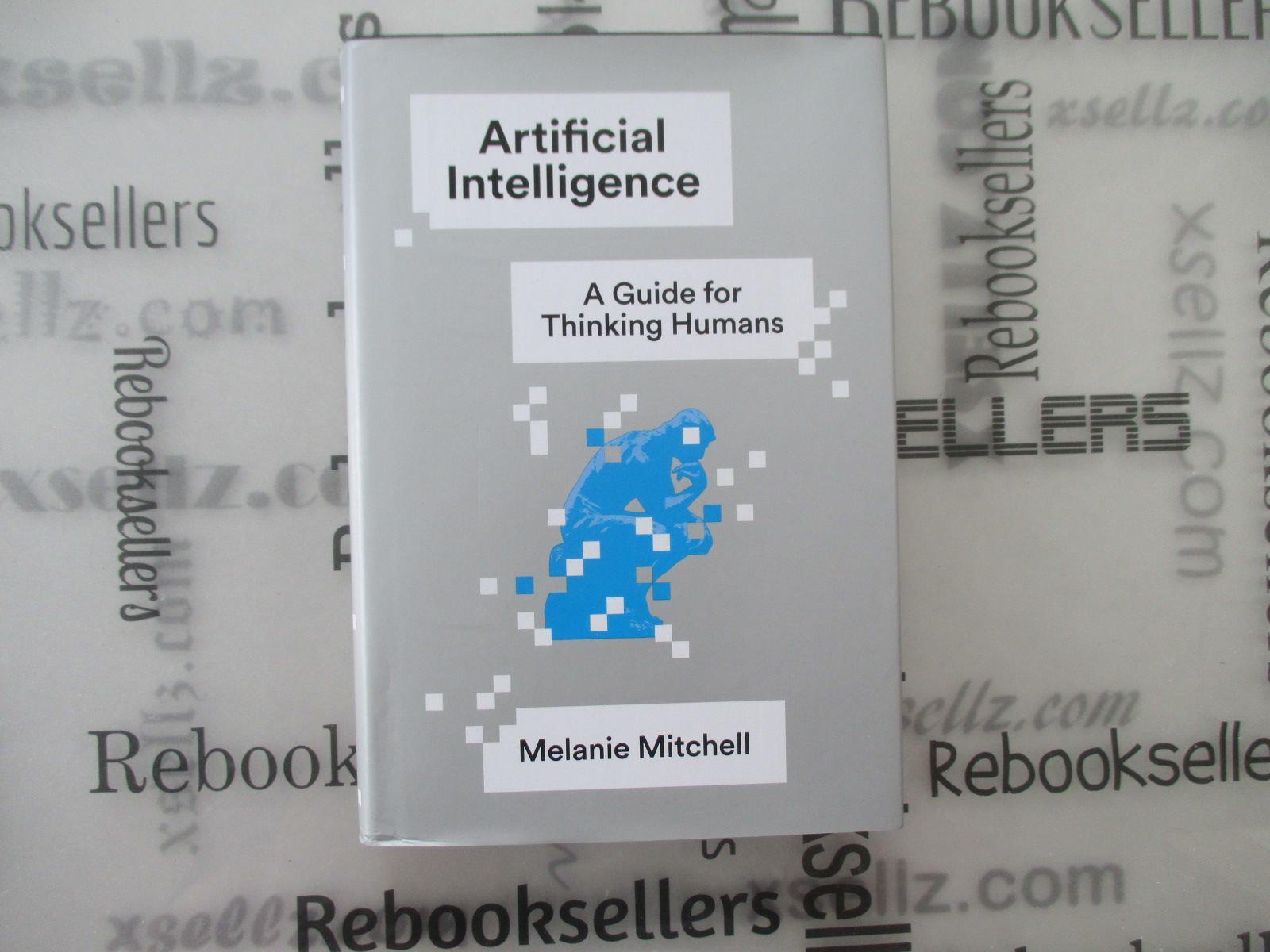 Artificial Intelligence – A Guide For Thinking Humans, 51% OFF