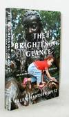The Brightening Glance Imagination and Childhood