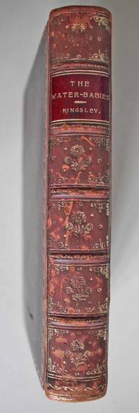 cover of The Water Babies: A Fairy Tale for a Land-Baby Beautiful full-leather binding with illustrations by Linley Sambourne.