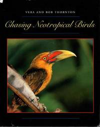Chasing Neotropical Birds