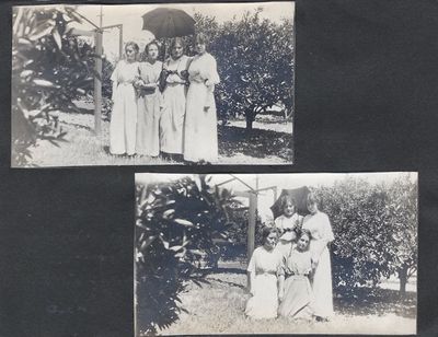 Early-20th Century Photo Album, Silver Prints