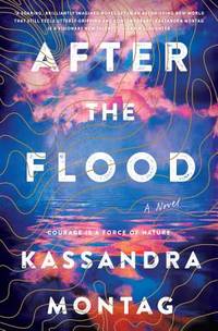 After the Flood : A Novel