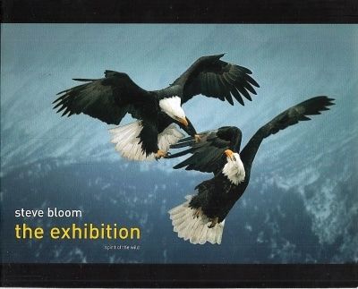 The exhibition. Selected images from the spirit…