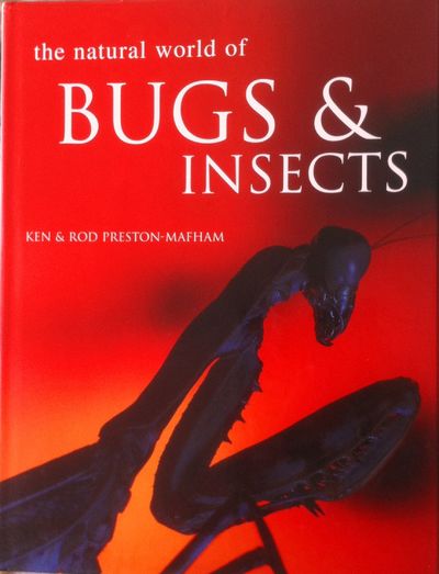 The Natural World of Bugs & Insects.